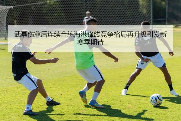 武磊伤愈后连续合练海港锋线竞争格局再升级引发新赛季期待